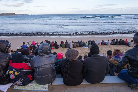 Healesville Sanctuary And Phillip Island Wildlife Bus Tour - Sunshine Coast Tourism 1