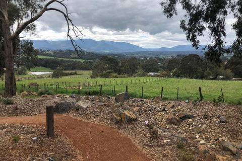 Yarra Valley Wine Tour Inc Lunch With A Glass Of Wine, Tastings And Chocolate - Holiday Sunshine Coast 0