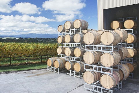 Yarra Valley Wine Tour Inc Lunch With A Glass Of Wine, Tastings And Chocolate - Holiday Sunshine Coast 4