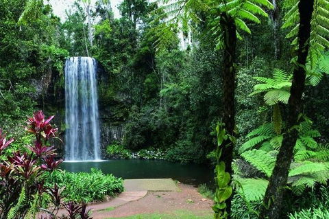 Paronella Park And Millaa Millaa Falls Full-day Tour From Cairns - Sunshine Coast Tourism 3