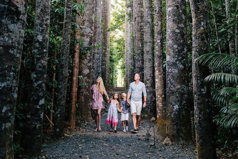 Paronella Park And Millaa Millaa Falls Full-day Tour From Cairns - Sunshine Coast Tourism 5