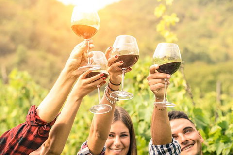 Barossa Valley Cellar Doors Luxury Wine Tour - Holiday Sunshine Coast 1