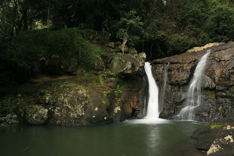 Hinterland Magic & Glow-worm Experience - Sunshine Coast Tourism 2