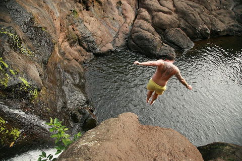 Hinterland Magic & Glow-worm Experience - Sunshine Coast Tourism 3