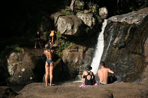 Hinterland Magic & Glow-worm Experience - Sunshine Coast Tourism 5