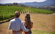 Yarra Valley Wine, Bubbles And Gin Tour! - thumb 4