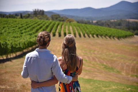 Yarra Valley Wine, Bubbles And Gin Tour! - Sunshine Coast Tourism 4
