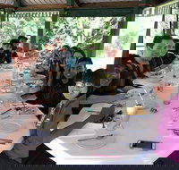 Natural Bridge Skywalk and Mt tamborine Adventure - Sunshine Coast Tourism