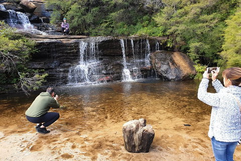 Blue Mountains Small Group Tour Enjoy A Sleep In, Waterfalls, Sunset & Dinner - Sunshine Coast Tourism 2
