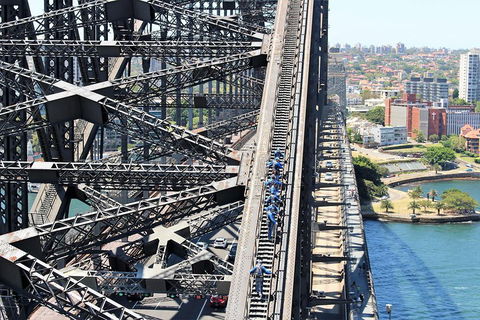 Eastern Suburbs Of Sydney, Woolloomooloo And Barangaroo - Holiday Sunshine Coast 4