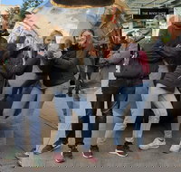 Guided Walking Tour in Adelaide - Sunshine Coast Tourism