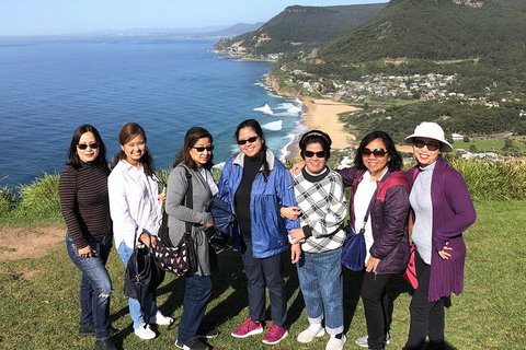 Private Grand Pacific Drive And Southern Highlands Tour - Sunshine Coast Tourism 3