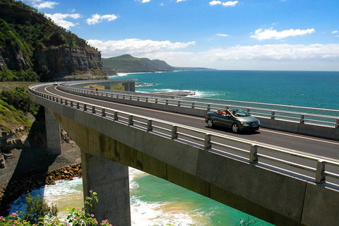 Private Grand Pacific Drive And Southern Highlands Tour - Sunshine Coast Tourism 5