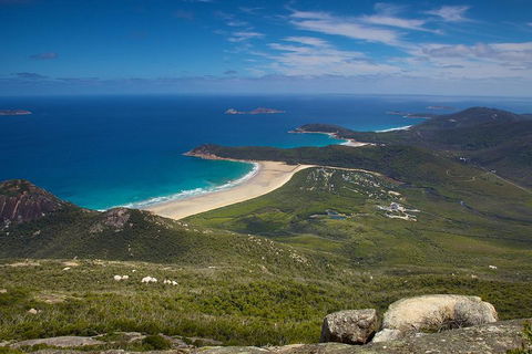 Wilson's Promontory & Phillip Island - 'Prom & Penguins' Tour - Sunshine Coast Tourism 0