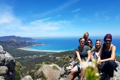 Wilson's Promontory & Phillip Island - 'Prom & Penguins' Tour - Sunshine Coast Tourism 1