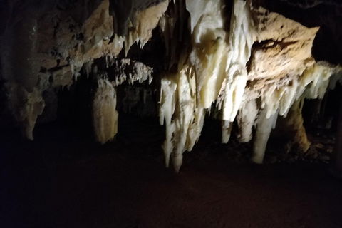 The Pinnacle Adventure Tour - Sunshine Coast Tourism 0