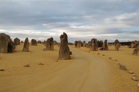 The Pinnacle Adventure Tour - Sunshine Coast Tourism 1