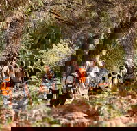 Half-Day Yanchep Ghost House Wilderness Guided Hike Tour - Sunshine Coast Tourism