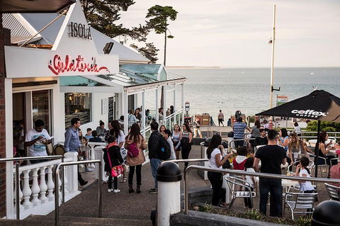 Phillip Island And French Island Wildlife Expedition - Sunshine Coast Tourism 0