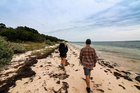 Phillip Island And French Island Wildlife Expedition - Sunshine Coast Tourism 1