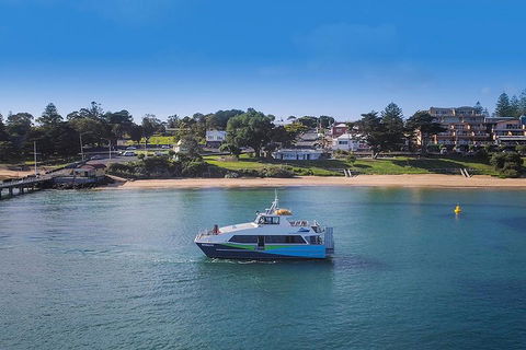 Phillip Island And French Island Wildlife Expedition - Sunshine Coast Tourism 2