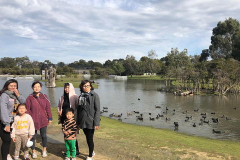 Phillip Island Penguins Private Tour - Sunshine Coast Tourism 1