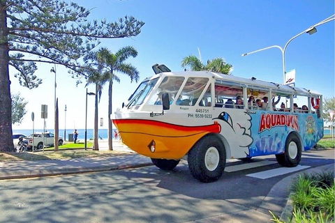Aquaduck Sunshine Coast - Holiday Sunshine Coast 1