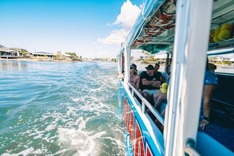 Aquaduck Sunshine Coast - Holiday Sunshine Coast 5