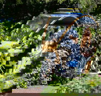 Adelaide 90-Minute Pedicab Tour Scenic Green  River Experience - Sunshine Coast Tourism