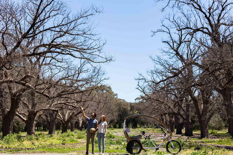 Adelaide 90-Minute Pedicab Tour: Scenic Green & River Experience - Sunshine Coast Tourism 1