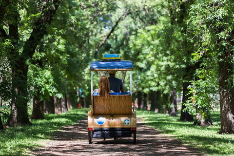 Adelaide 90-Minute Pedicab Tour: Scenic Green & River Experience - Sunshine Coast Tourism 2