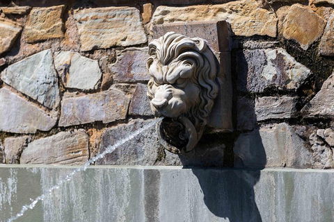 Adelaide 90-Minute Pedicab Tour: Scenic Green & River Experience - Sunshine Coast Tourism 3