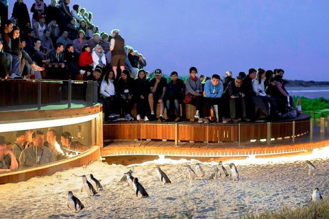 Private Phillip Island Tour - Sunshine Coast Tourism 3