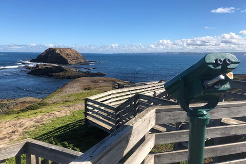 Private Phillip Island Tour - Sunshine Coast Tourism 4