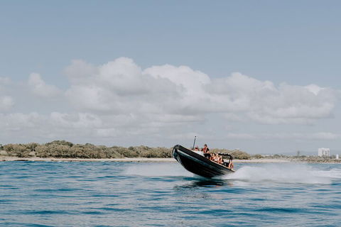 Adventure Rafting - Holiday Sunshine Coast 3