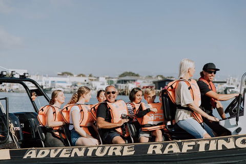 Adventure Whale Watching Tour Mooloolaba - Holiday Sunshine Coast 4
