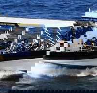 Mooloolaba Whale Watching Tour - Sunshine Coast Tourism