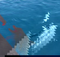 Noosa Thriller - 500hp Ocean Adventure Ride