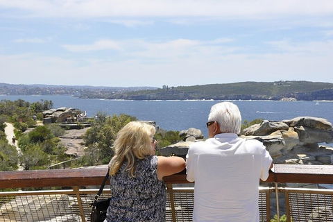 Sydney Sightseeing Bus Tours - Sunshine Coast Tourism 3