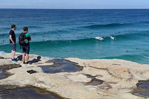 Sydney Secrets & Bondi Beach Private 4 Hr Morning With Personalised Sydney Tours - Sunshine Coast Tourism 2