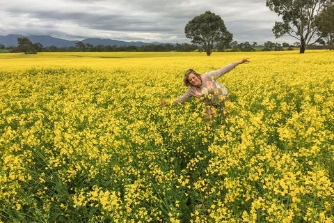 Grampians - Private Tour - Holiday Sunshine Coast 3