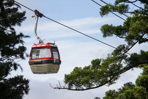 Sydney Taronga Zoo General Entry Ticket And Wild Australia Experience - Sunshine Coast Tourism 2