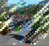 Tropical Fruit World with Wildlife Boat Cruise from Gold Coast - Holiday Sunshine Coast