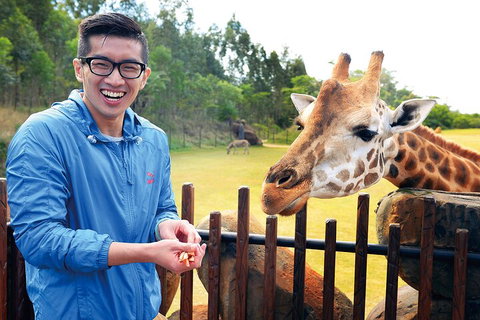 Croc Express To Australia Zoo From Gold Coast - Holiday Sunshine Coast 1