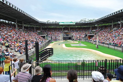 Croc Express To Australia Zoo From Gold Coast - Holiday Sunshine Coast 2