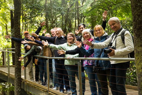 All Inclusive Blue Mountains Small-Group Day Trip From Sydney - Holiday Sunshine Coast 5