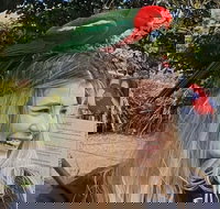 Lamington National Park O'Reilly's  Vineyard Tour - Holiday Sunshine Coast