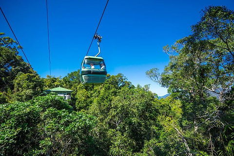 Skyrail Rainforest Cableway Day Trip From Cairns - Sunshine Coast Tourism 1