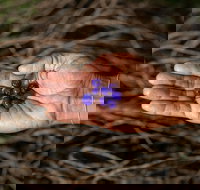 Cape Byron Aboriginal Tour - Holiday Sunshine Coast