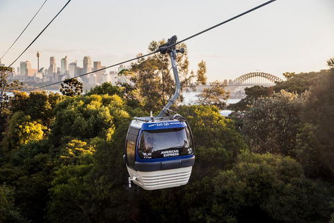 Australia Multi-City Attractions Pass - Holiday Sunshine Coast 5